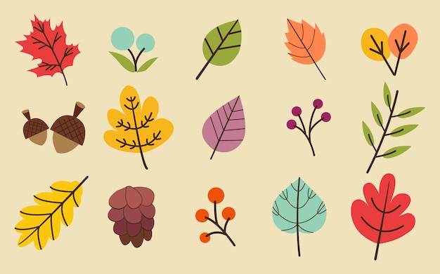 The collection of autumn or fall leaves set