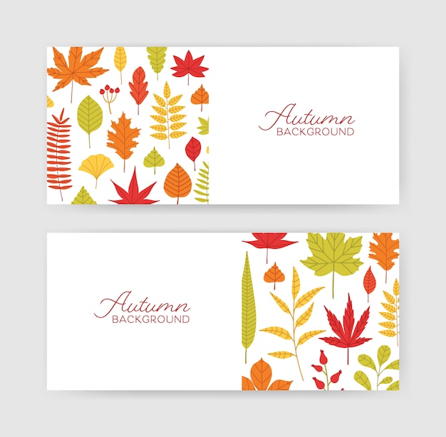 Collection of autumn horizontal banner template with fallen tree leaves on white background.