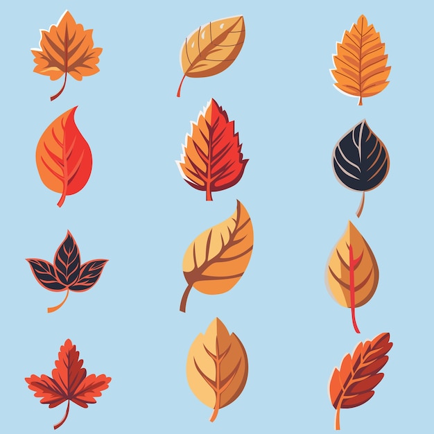 a collection of Autumn leaves and leaves from the fall