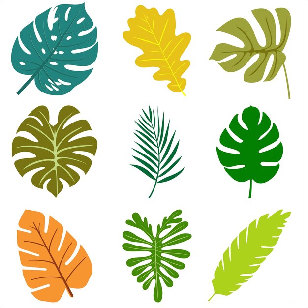 Collection of autumn leaves Vector illustration