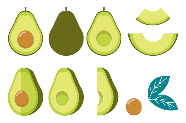 La collezione di avocado. la fetta di avocado ha un seme e una foglia