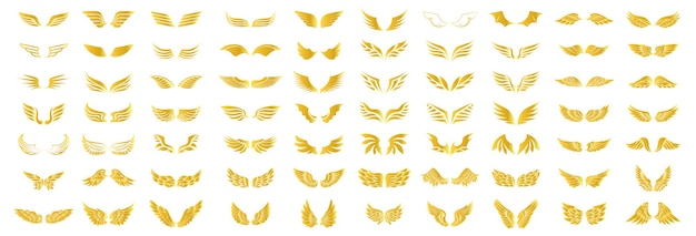 Collection badges of wings Wings icons Gold wings icon set Vector illustration