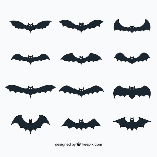 Vector collection of bats in flat design