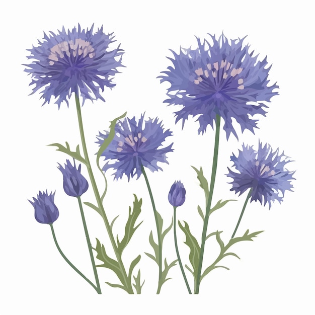 Vector collection of beautiful cornflower flower stickers ideal for decorating your laptop or phone case