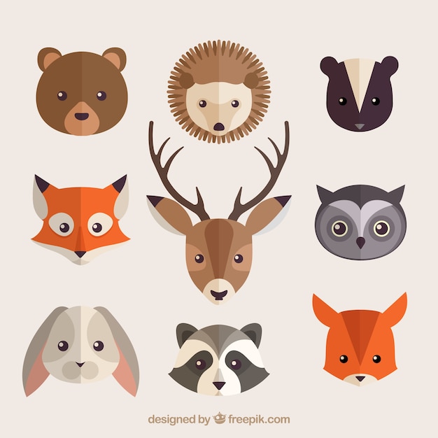 Collection of beautiful forest animals in flat design