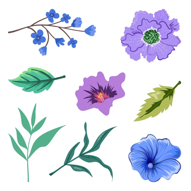 Collection of beautiful herbs and wild flowers and leaves isolated.