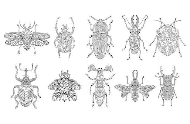 A collection of beetles and insects in a linear style Linear vector illustration