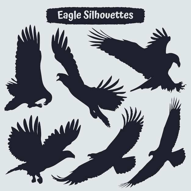 Vector collection of bird eagle silhouettes in different positions