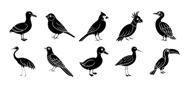 Vector collection of bird silhouette elements