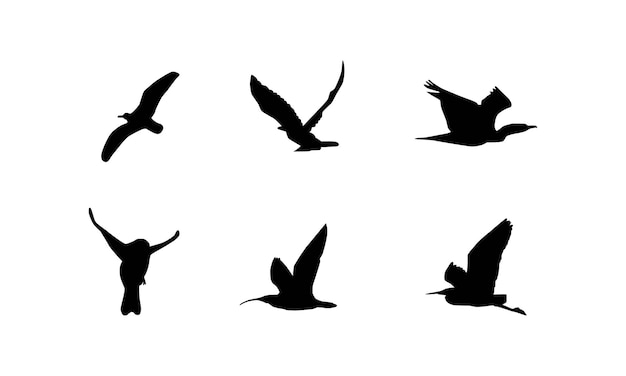 Vector collection of bird silhouette vector illustrations