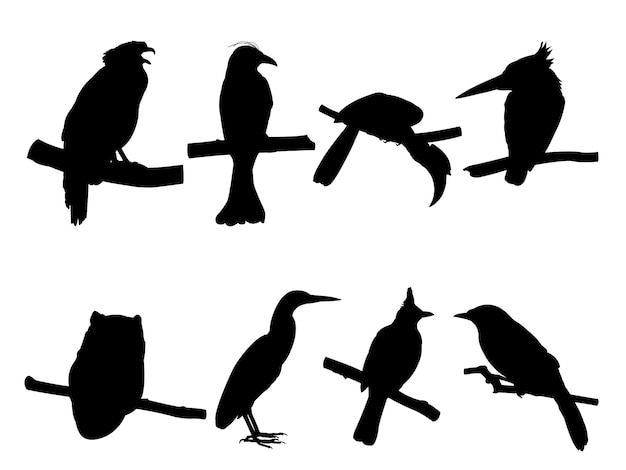 Vector collection of bird on tree branch silhouettes.