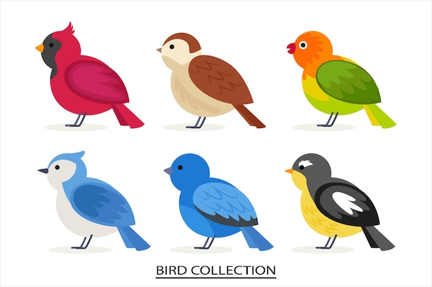 最もカラフルな鳥の1つを含む鳥のコレクション