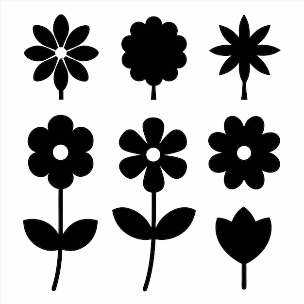 a collection of black flowers with a white background