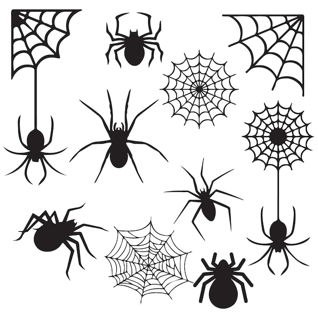 Vector collection black realistic spider vector illustration set creepy dangerous insect symbol