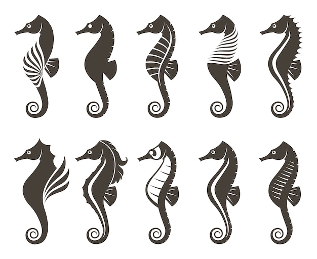 Collection of black seahorses