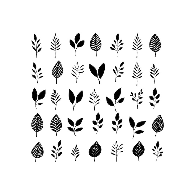 Collection of Black Silhouette Leaves and Branches Vector illustration design