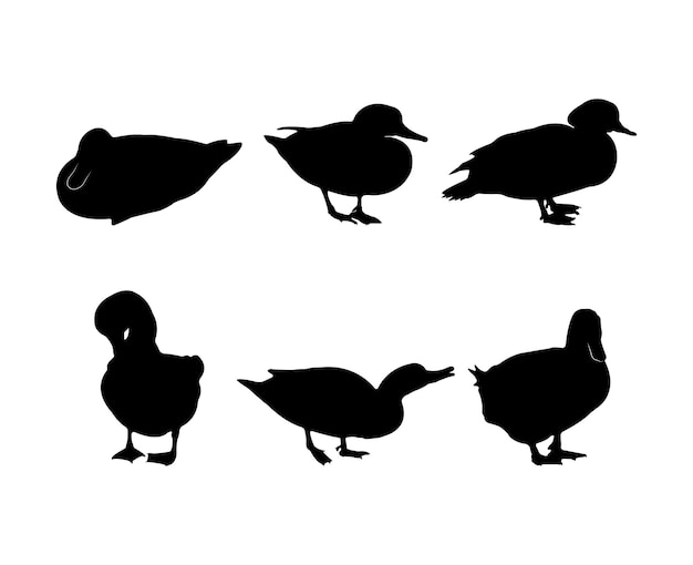 Collection of black silhouettes ducks