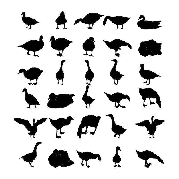 Vector collection of black silhouettes gooses