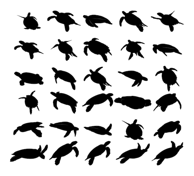 Collection of black silhouettes turtles