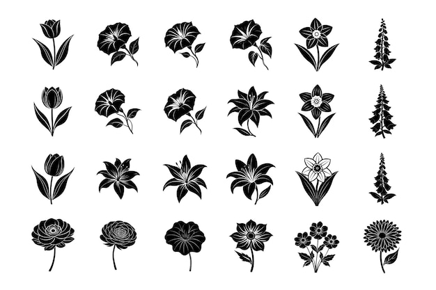 Vector a collection of black and white flowers with the word flowers on them