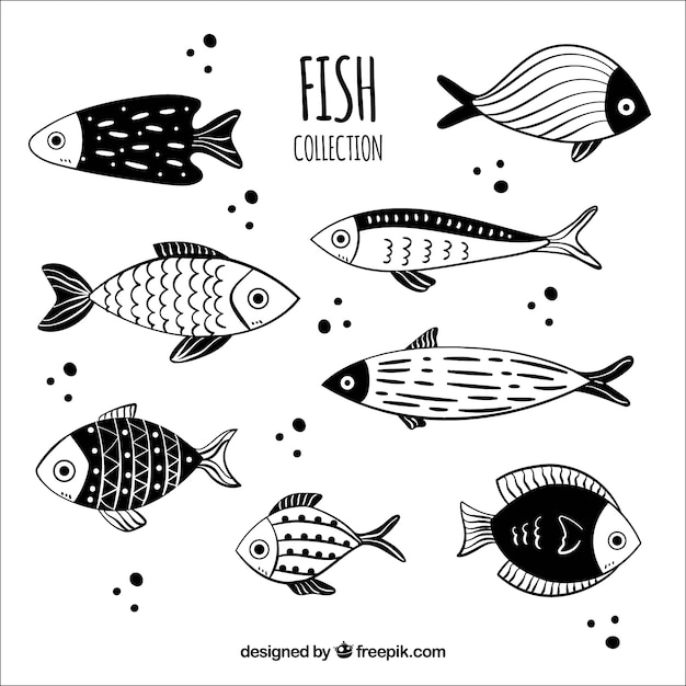Collection of black and white hand drawn fish