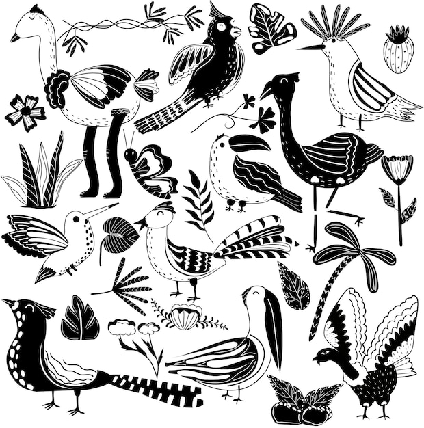 Collection black and white of jungle birds and exotic tropical leaves african birds vector