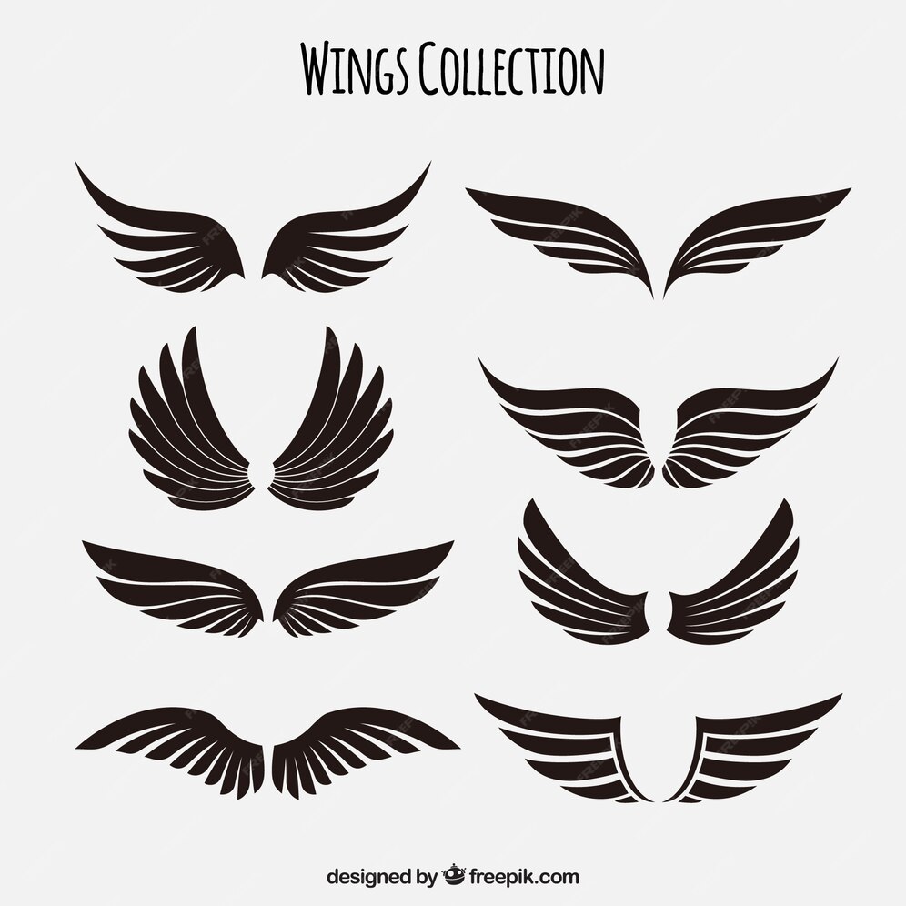 Premium Vector | Collection of black wings
