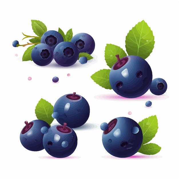 Vector a collection of blueberry illustrations with a watercolor effect