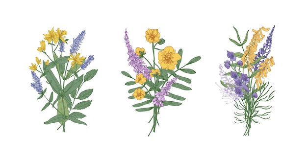 Сборник букетов красивых диких луговых цветов и цветущих трав