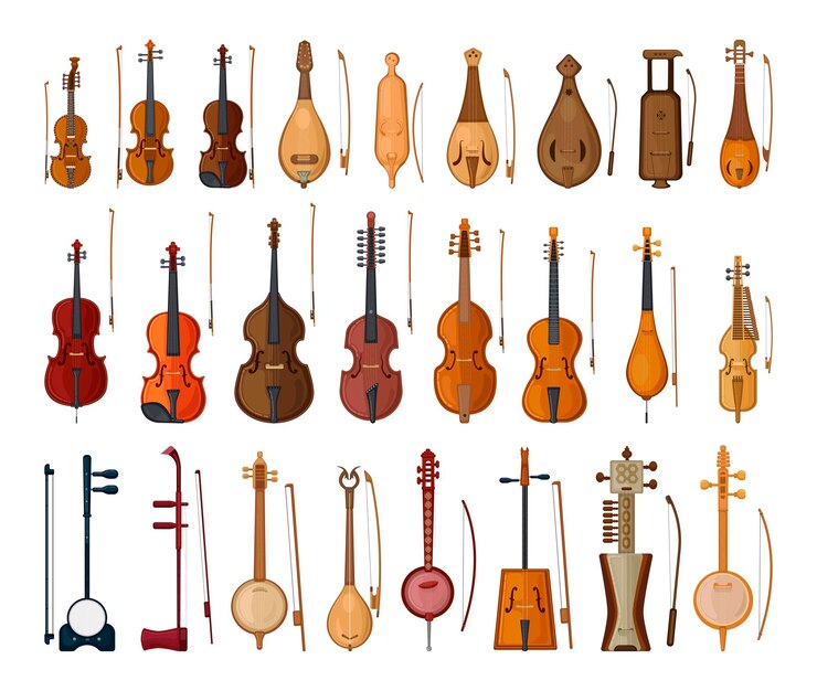 Vector collection of bowed string instruments in detailed