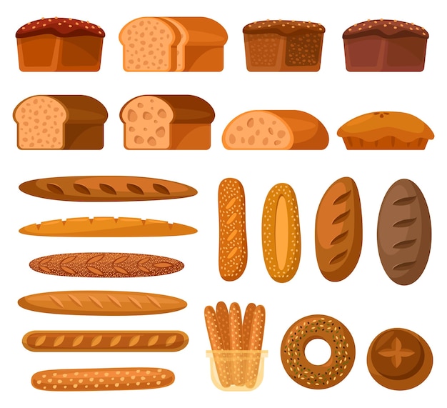 Vector collection of bread isolated on white