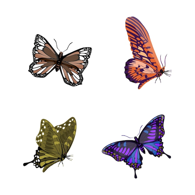 Vettore una collezione di farfalle farfalle e farfalle