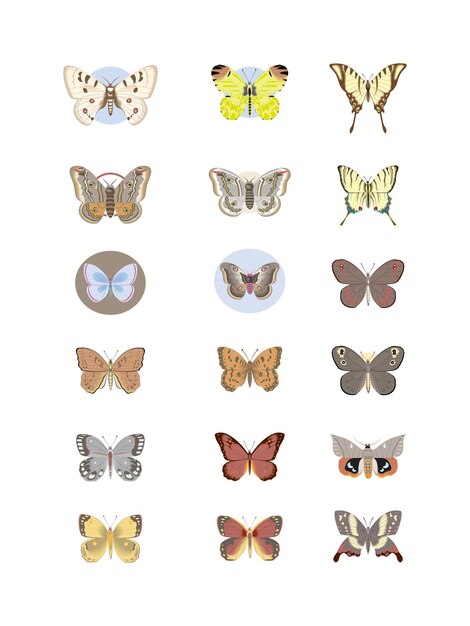 a collection of butterflies with butterflies on them