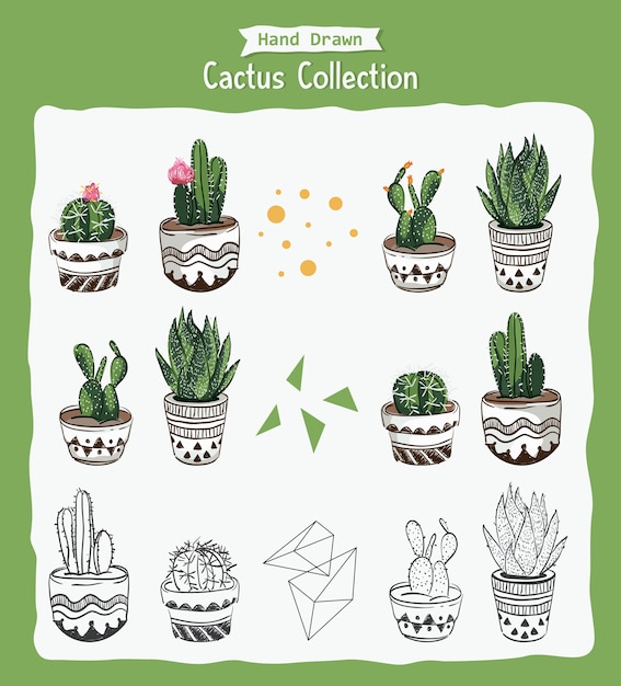 Collection of cactus plant with hand drawing style