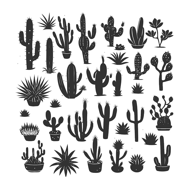 A collection of cactuses and plants in pots