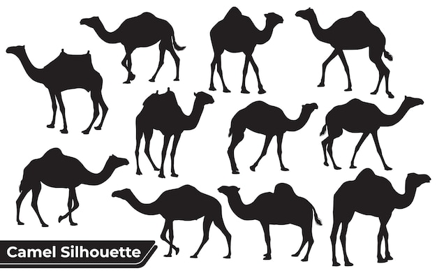 Vettore collezione di camel silhouette in diverse pose