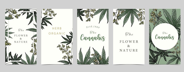 Collection of cannabis background set with greeneditable vector illustration for social media