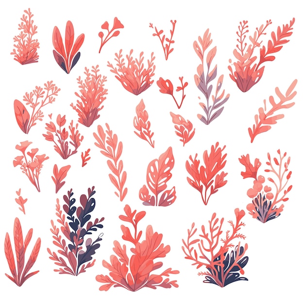Vector collection cartoonshaped coral