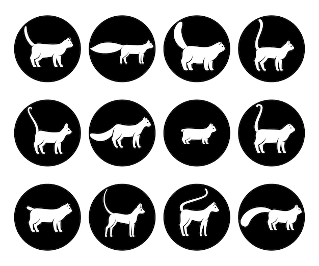 Collection cat icon set Vector