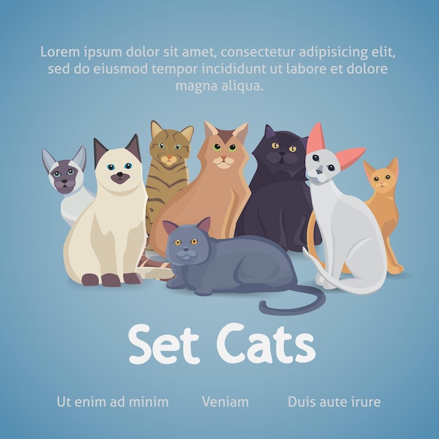 Vector collection of cats of different breeds. vector illustration set. isolated pets.