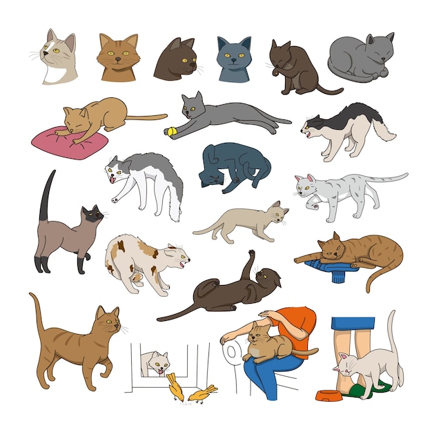 Vector collection cats of different breeds