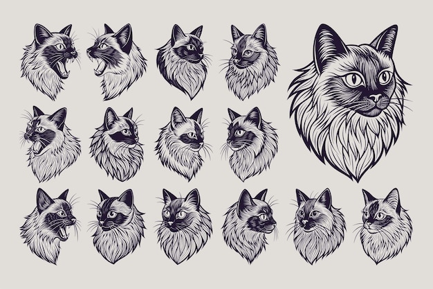 a collection of cats and dogs