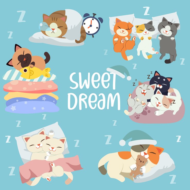 The collection of character of cat sleeping