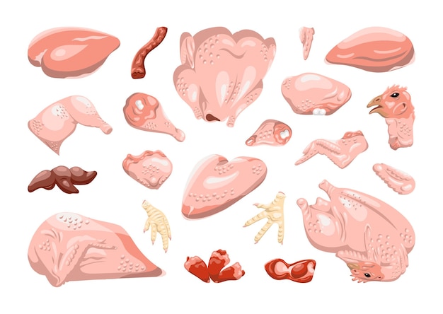 Raccolta di parti di pollo