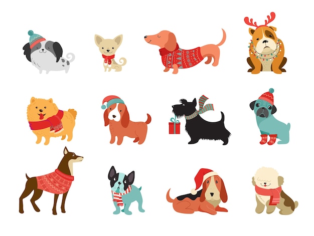 Collezione di cani di natale, illustrazioni di buon natale di simpatici animali domestici con accessori lavorati a maglia