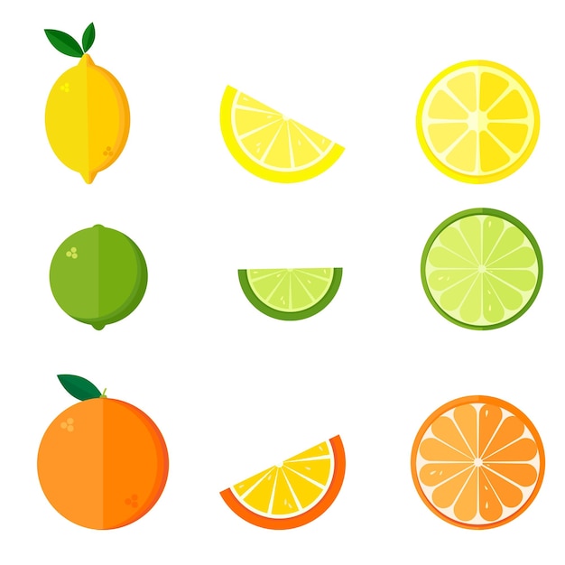 Vector collection of citrus products orange lemon lime isolated on white background vector set of whole fruits and slices vector