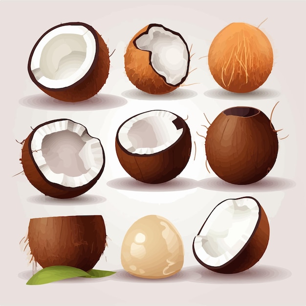 A collection of coconut graphics with a tropical paradise theme