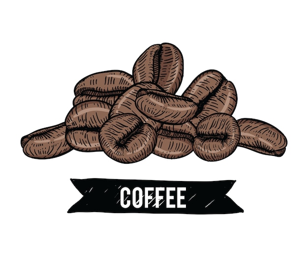 Collection of coffee beans