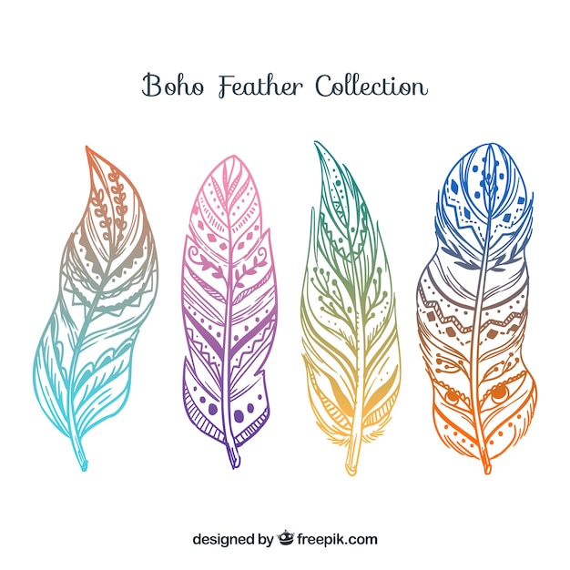 Collection of colored boho feathers