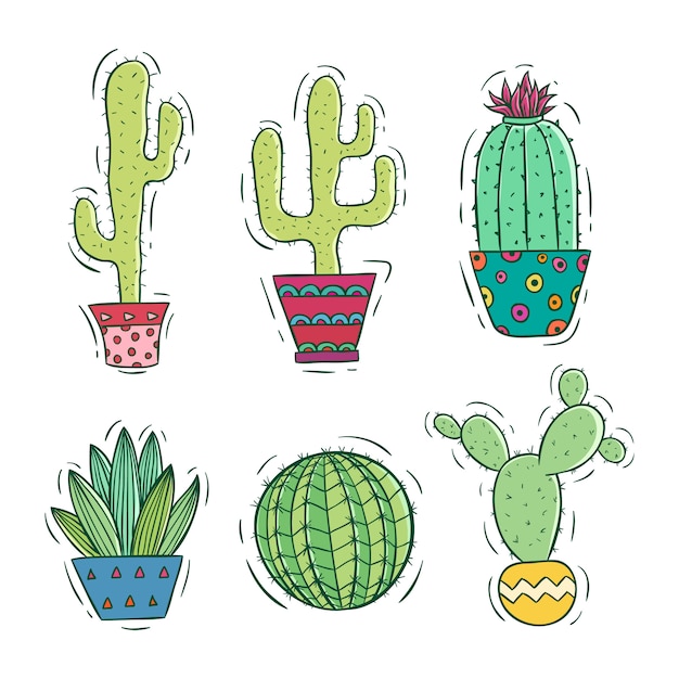 Raccolta di cactus colorato con pot con stile doodle